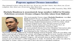 Pogrom against Oromo intensifies